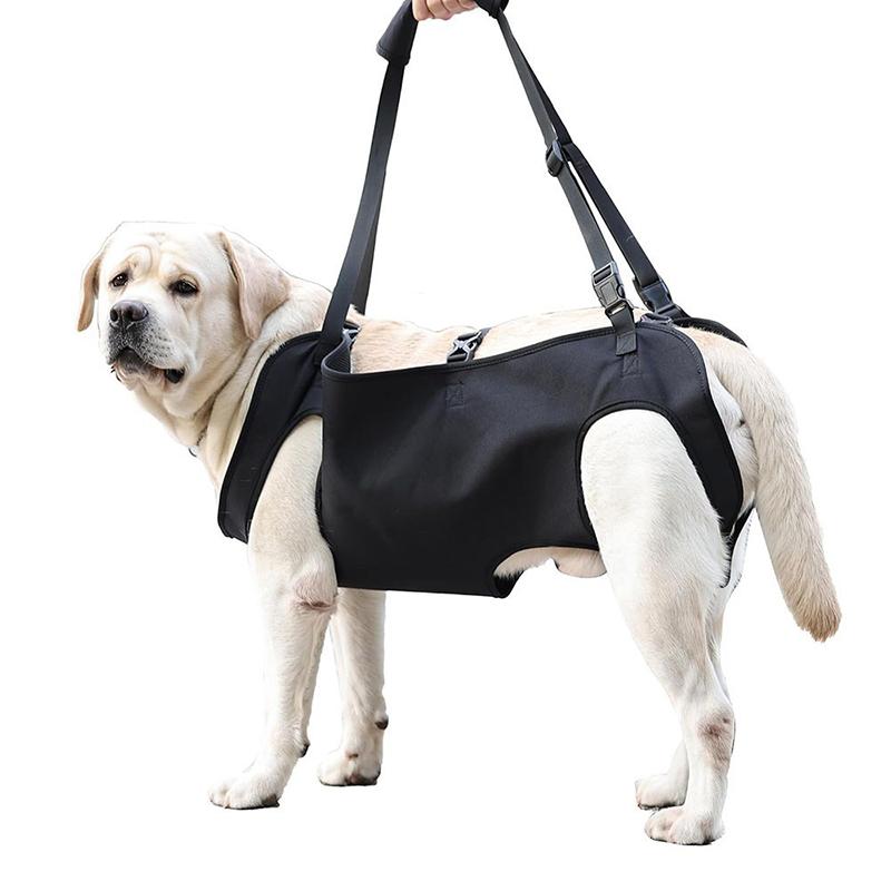 Dog Stair Assistance Leash Eld - Harness Climbing Adjustable ulasan dan harga