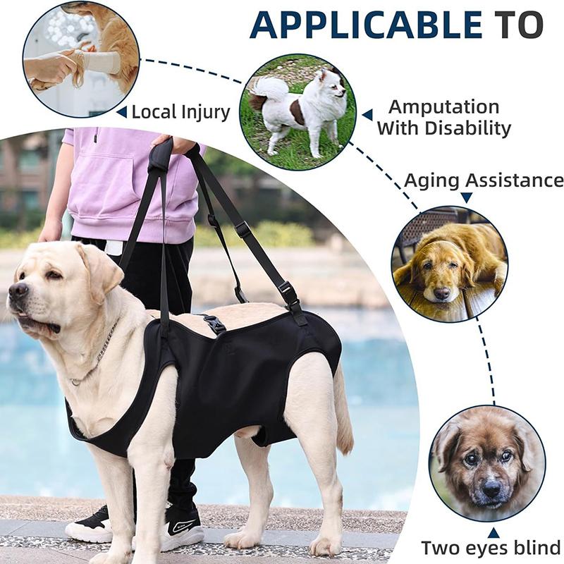 Dog Stair Assistance Leash Eld - Harness Climbing Adjustable ulasan dan harga