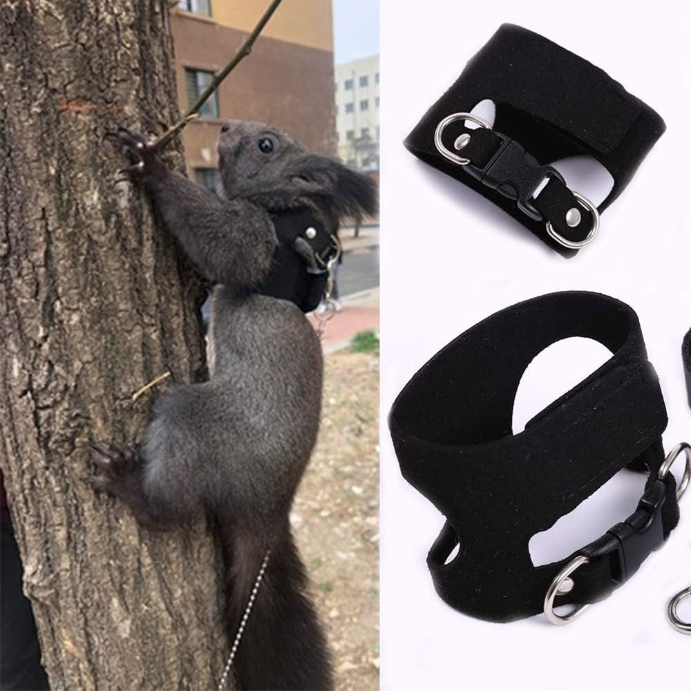 Adjustable Rat Harness and Lea - Harness Climbing Adjustable ulasan dan harga