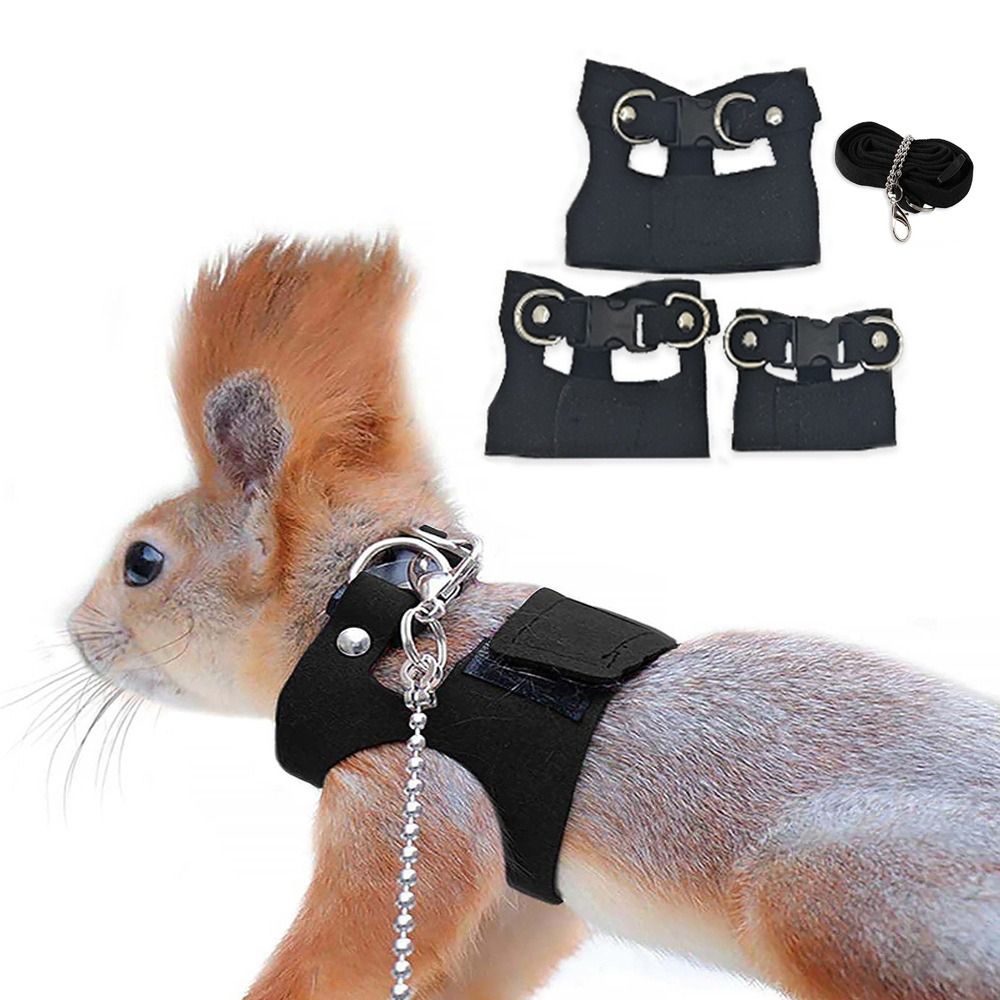 Adjustable Rat Harness and Lea - Harness Climbing Adjustable ulasan dan harga