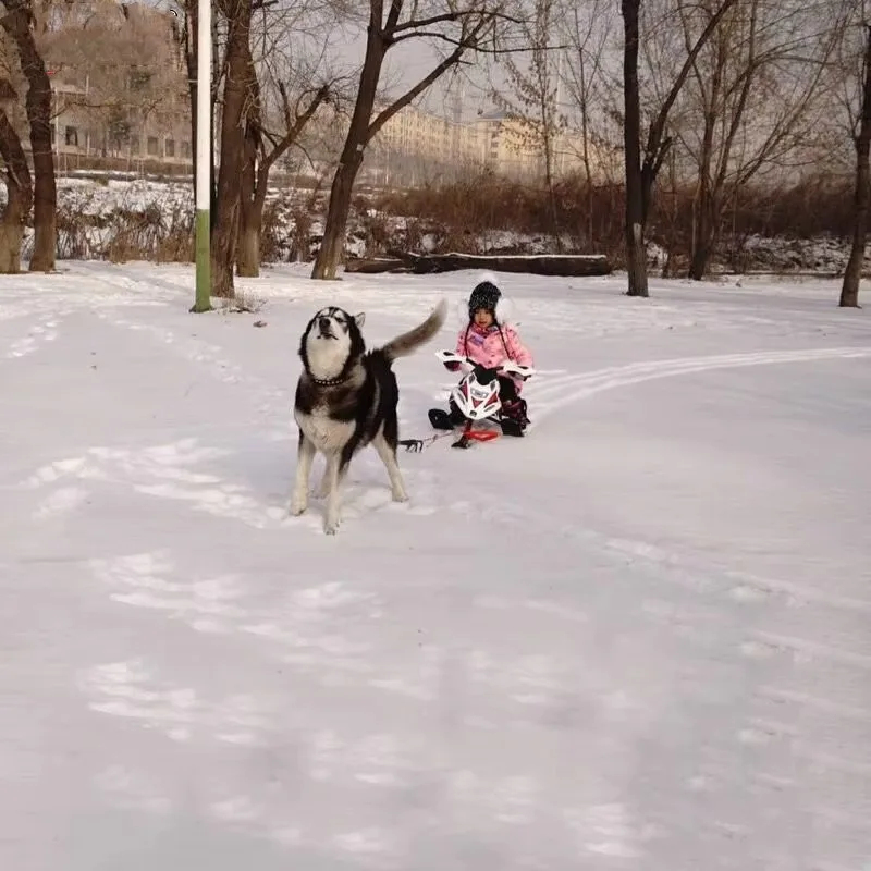 Winter Outdoor Ski Equipment – - Outdoor Adventure Resorts ulasan dan harga